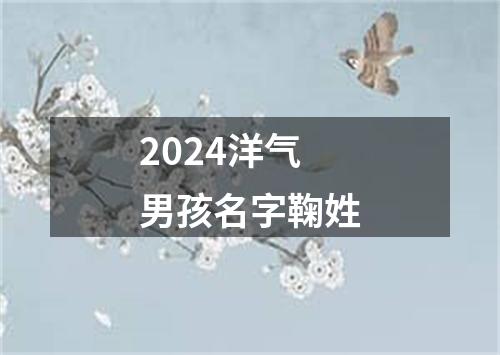 2024洋气男孩名字鞠姓