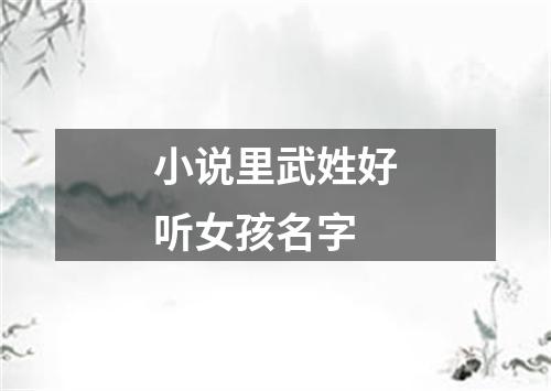 小说里武姓好听女孩名字