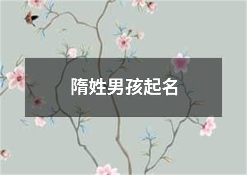 隋姓男孩起名