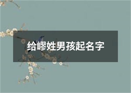 给嵺姓男孩起名字