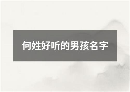 何姓好听的男孩名字