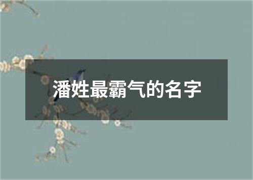 潘姓最霸气的名字