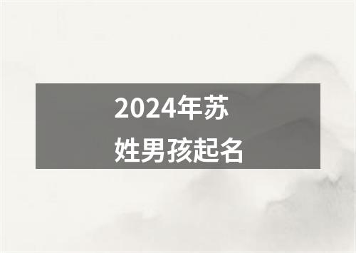 2024年苏姓男孩起名