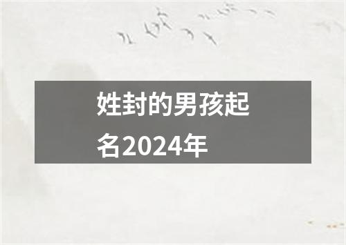 姓封的男孩起名2024年