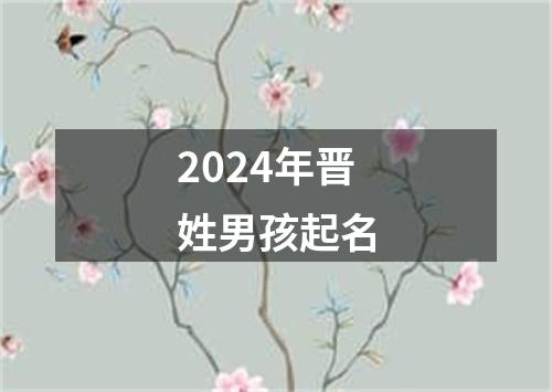 2024年晋姓男孩起名