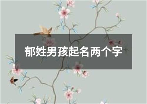 郁姓男孩起名两个字