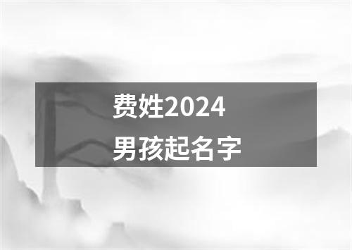 费姓2024男孩起名字