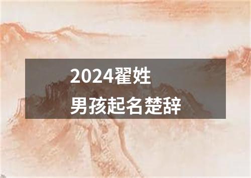 2024翟姓男孩起名楚辞