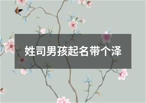 姓司男孩起名带个泽