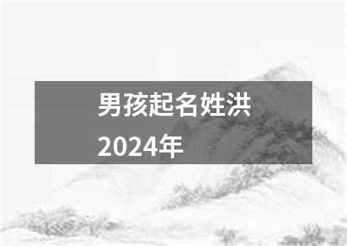 男孩起名姓洪2024年