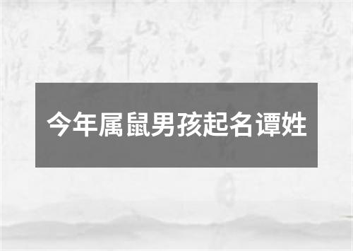 今年属鼠男孩起名谭姓