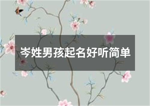 岑姓男孩起名好听简单