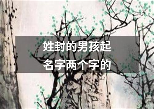 姓封的男孩起名字两个字的