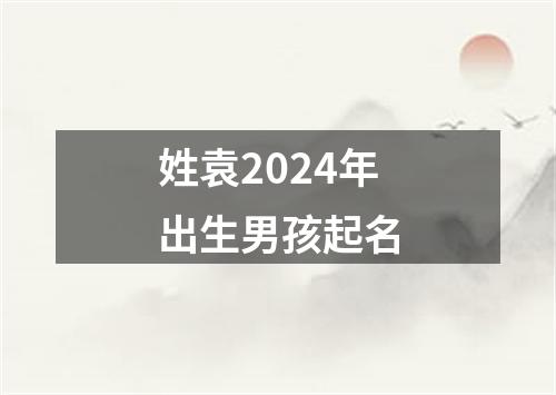 姓袁2024年出生男孩起名