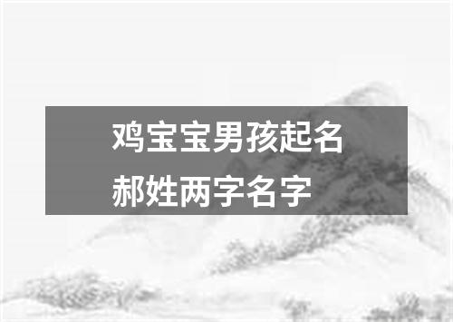 鸡宝宝男孩起名郝姓两字名字