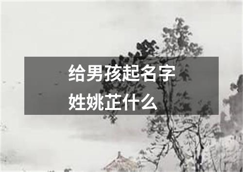 给男孩起名字姓姚芷什么