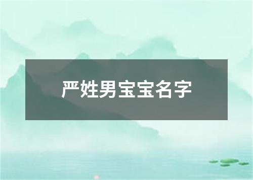 严姓男宝宝名字