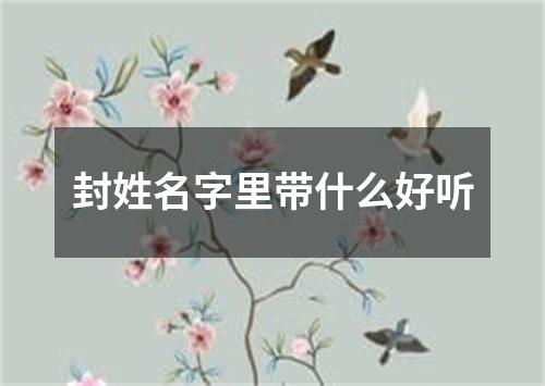 封姓名字里带什么好听