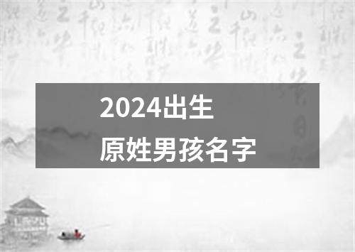 2024出生原姓男孩名字