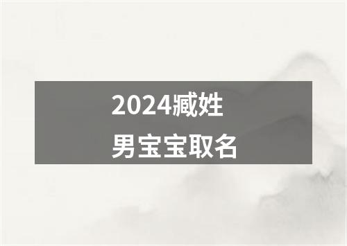 2024臧姓男宝宝取名