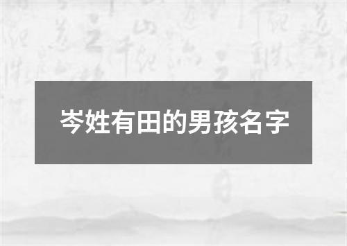 岑姓有田的男孩名字