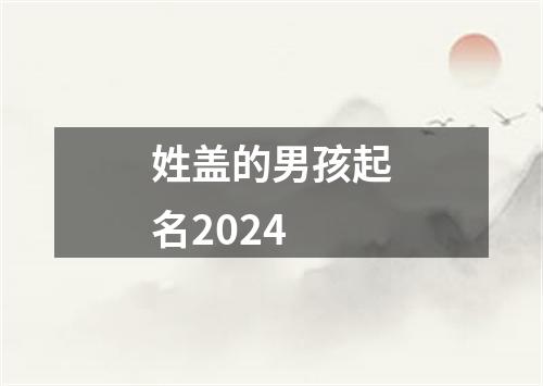 姓盖的男孩起名2024