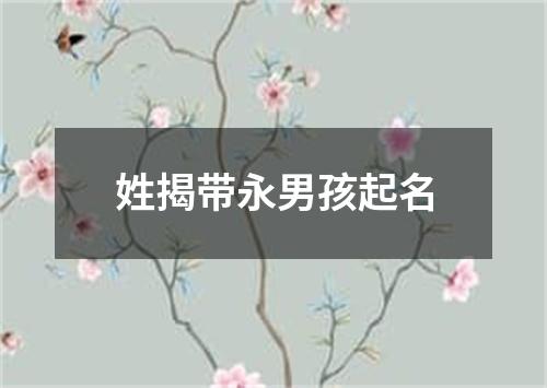 姓揭带永男孩起名