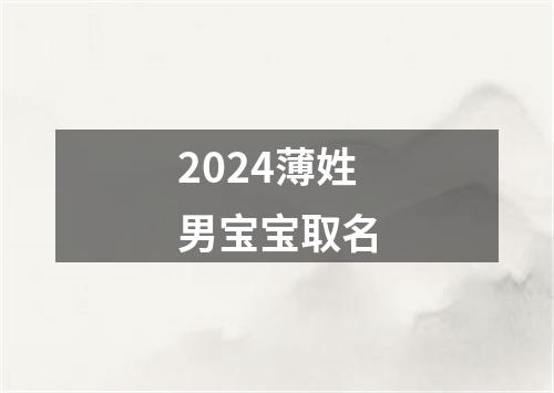 2024薄姓男宝宝取名