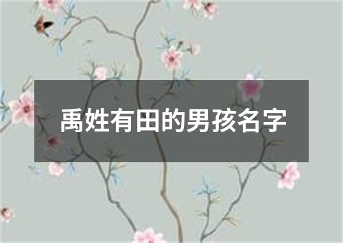 禹姓有田的男孩名字