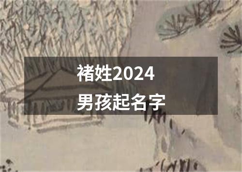 褚姓2024男孩起名字