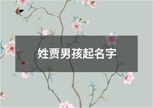 姓贾男孩起名字