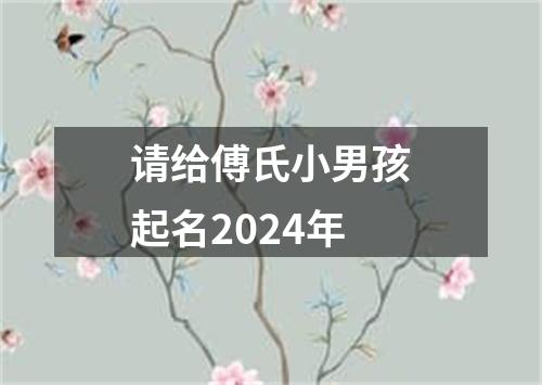 请给傅氏小男孩起名2024年