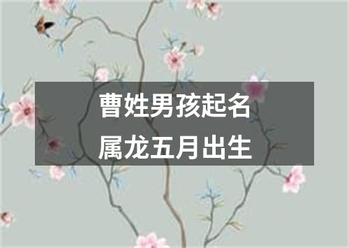 曹姓男孩起名属龙五月出生