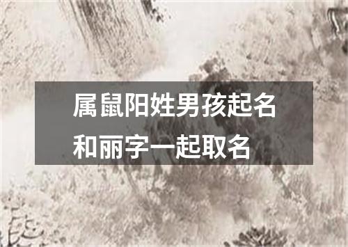 属鼠阳姓男孩起名和丽字一起取名