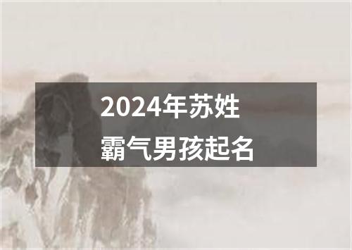 2024年苏姓霸气男孩起名