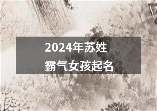 2024年苏姓霸气女孩起名