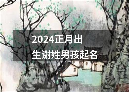 2024正月出生谢姓男孩起名