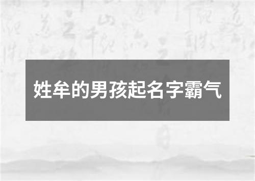 姓牟的男孩起名字霸气