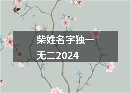 柴姓名字独一无二2024