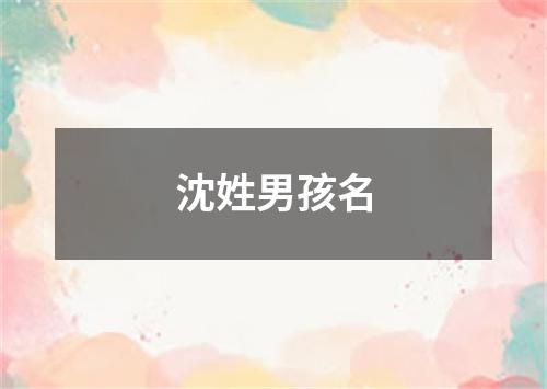 沈姓男孩名