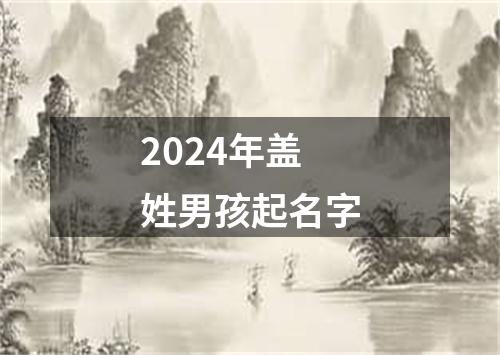 2024年盖姓男孩起名字