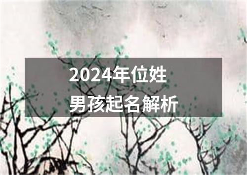 2024年位姓男孩起名解析