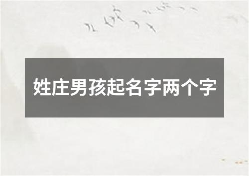 姓庄男孩起名字两个字