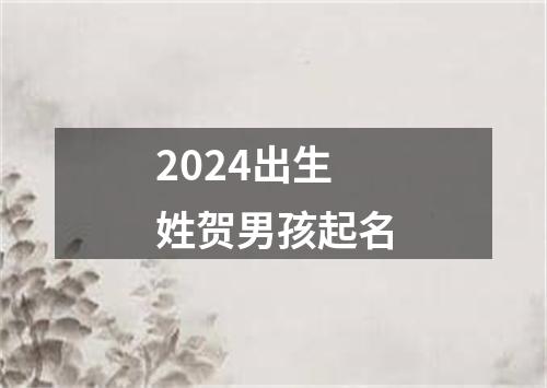 2024出生姓贺男孩起名