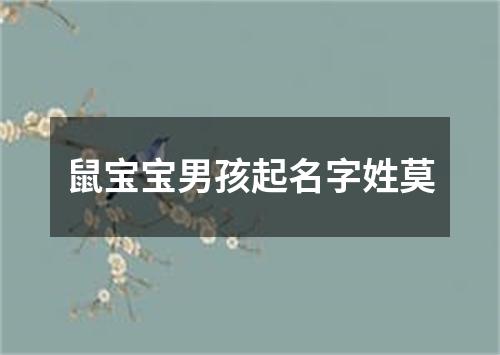 鼠宝宝男孩起名字姓莫