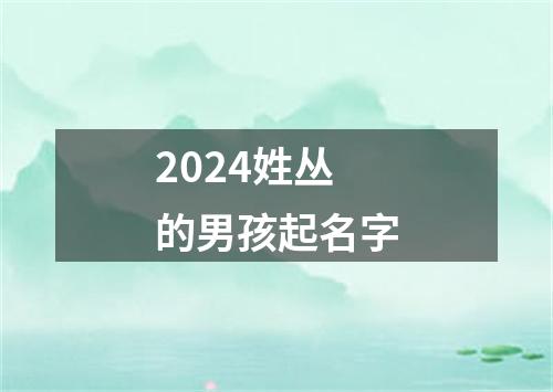 2024姓丛的男孩起名字