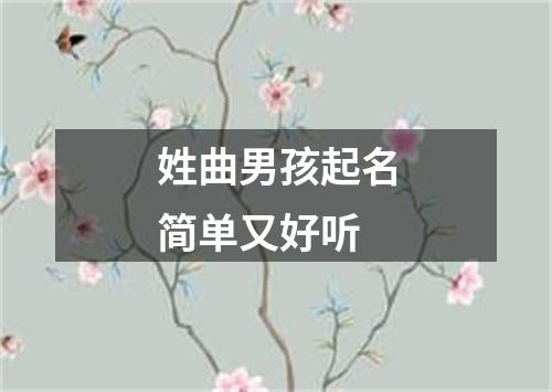 姓曲男孩起名简单又好听