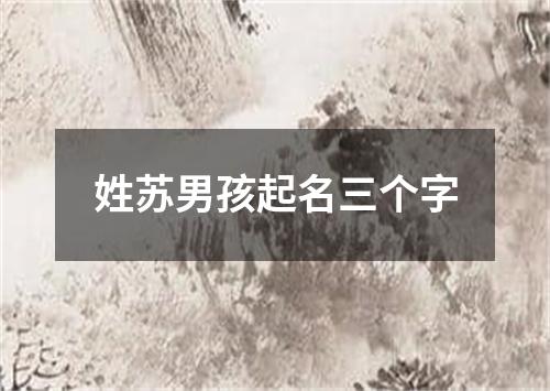 姓苏男孩起名三个字