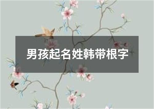 男孩起名姓韩带根字