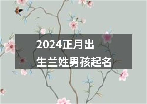 2024正月出生兰姓男孩起名